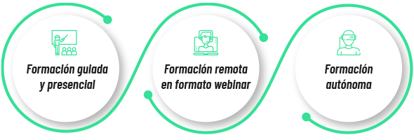Tipos de formación en Ludus
