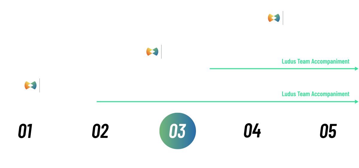 Commercial Process and After-sales